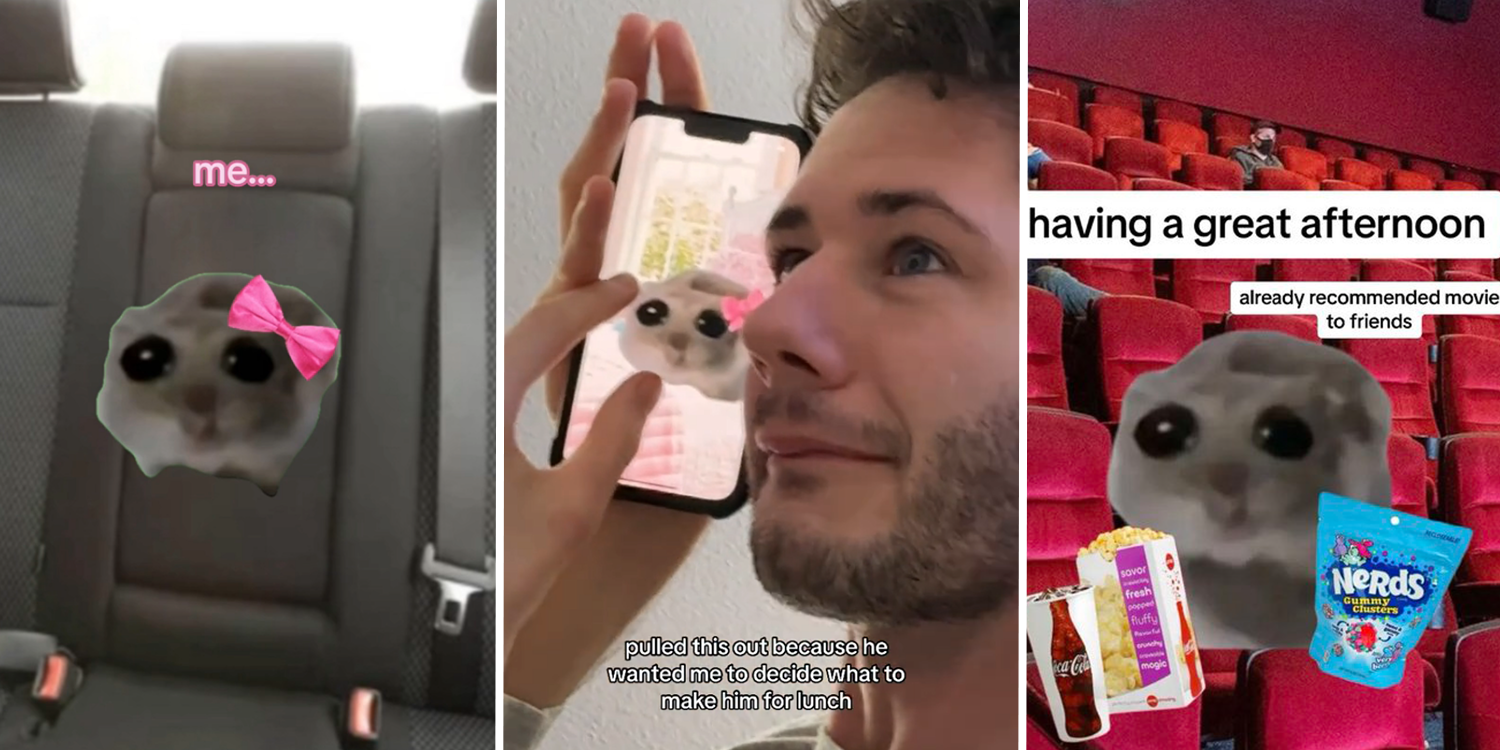 sad hamster meme tiktok