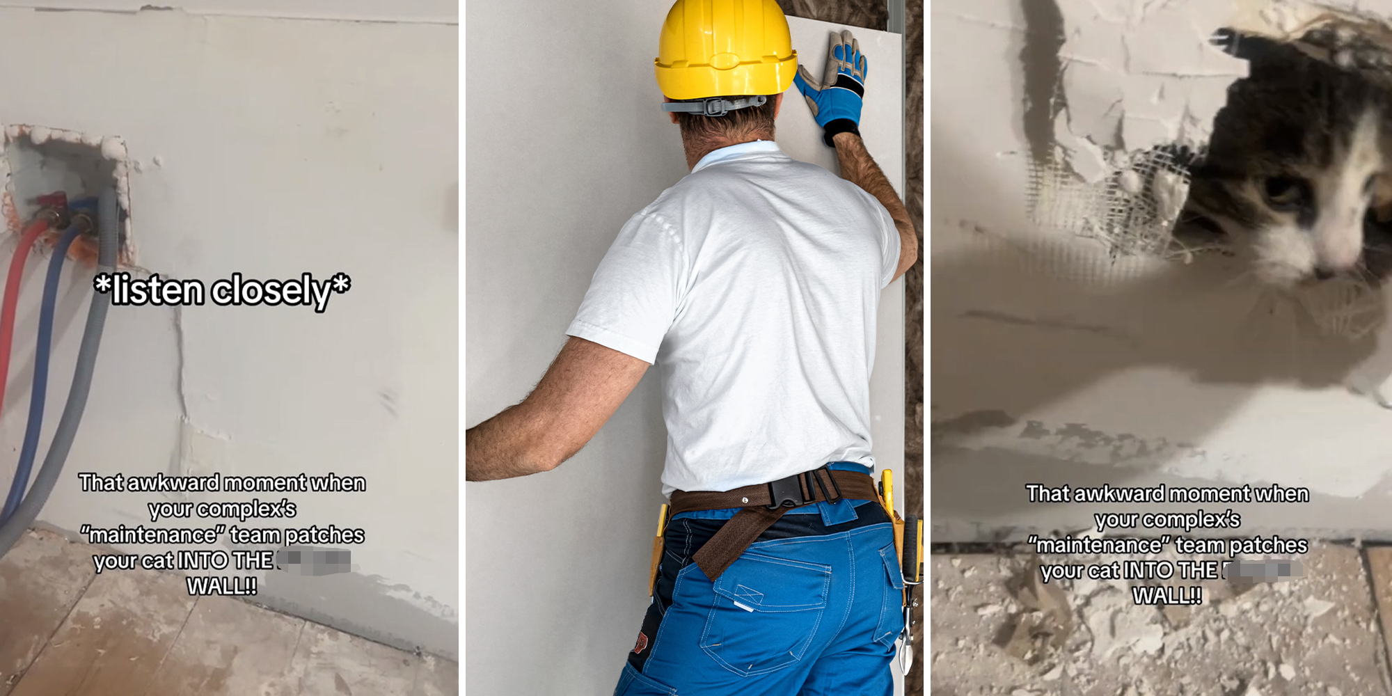 Renter says apartment complex sealed her cat into the wall