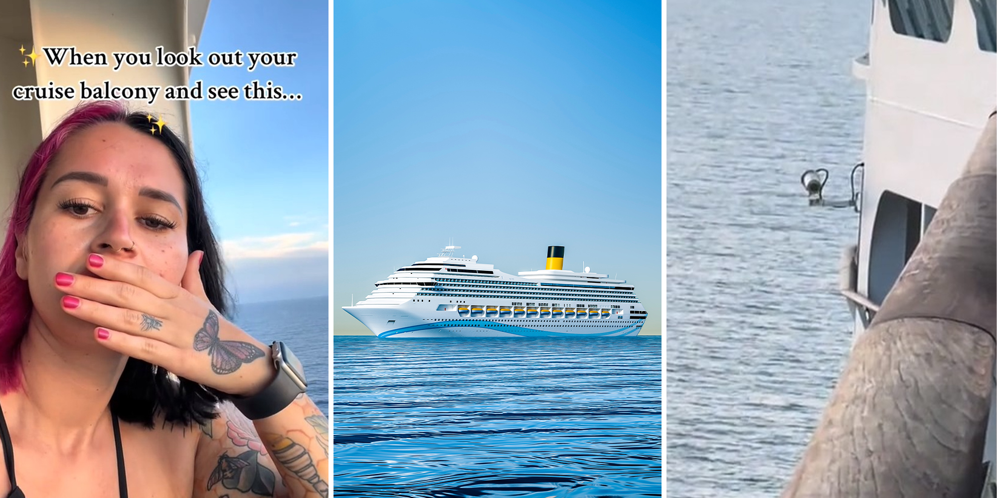 Cruise line passenger reveals the unexpected place aboard ship she found security cameras