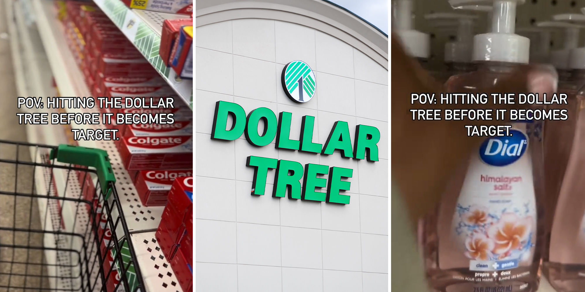 Dollar Tree shopper raids store before prices increase up to $7
