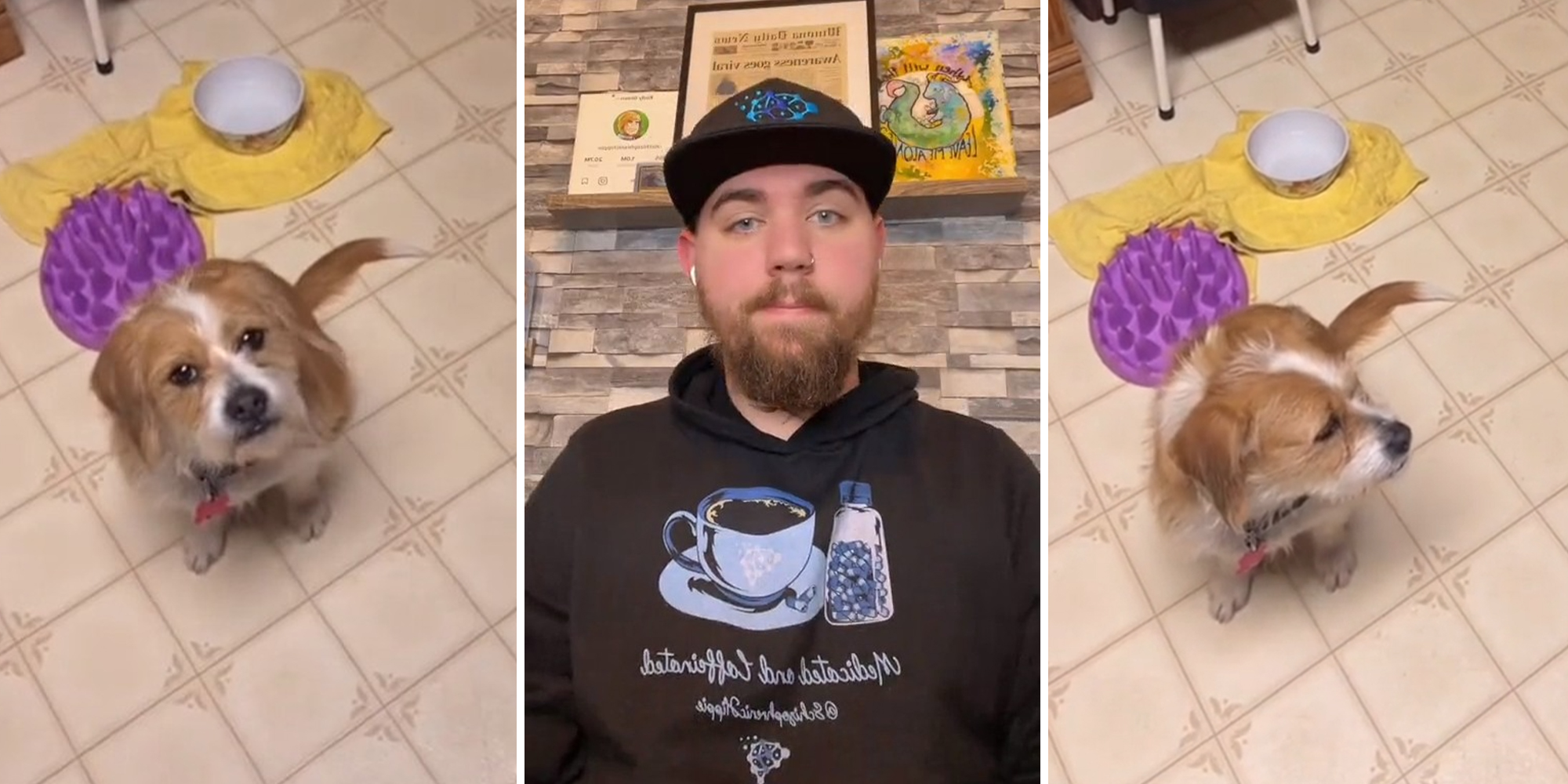 TikToker shows how his dog helps with differentiating between reality and hallucinations