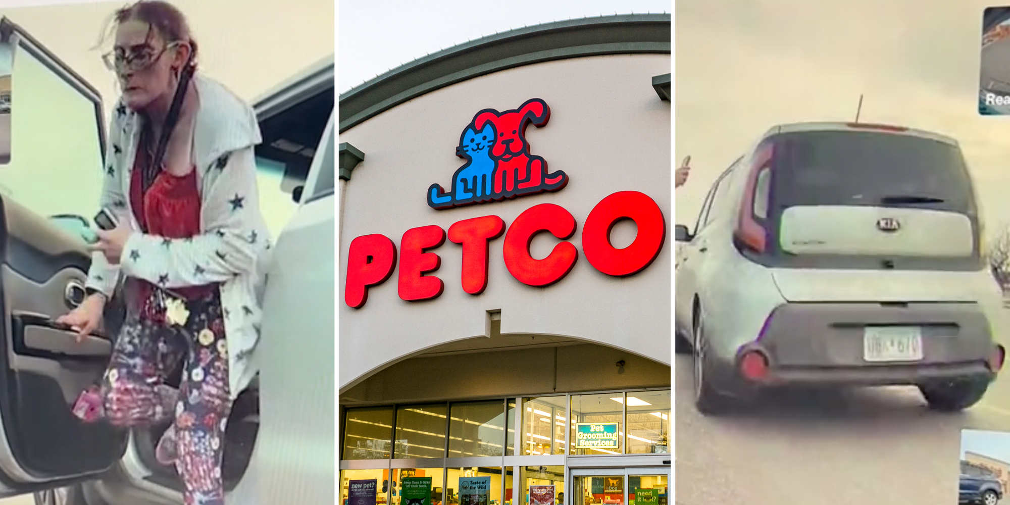 Woman getting out of car(l), Petco(c), Kia Soul (r)