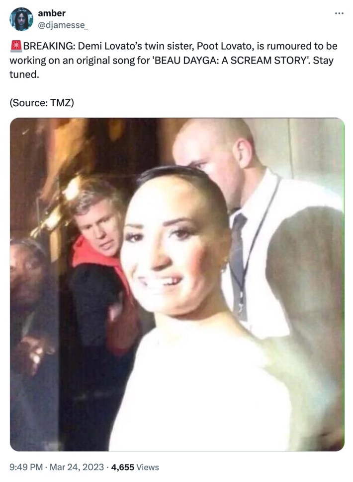 poot lovato meme
