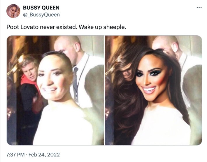 poot lovato meme