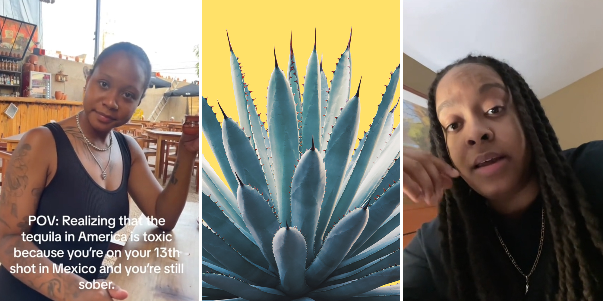 Expert shares how tequila companies are lying about using '100% agave