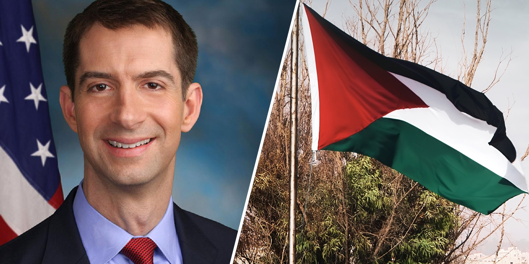 Tom Cotton(l), Palestian Flag(r)