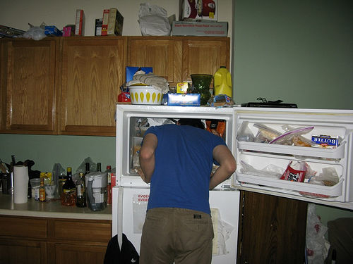 original 241543903 heads in freezers meme