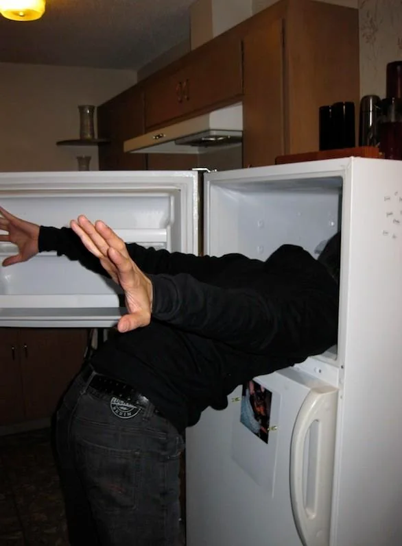 241543903 heads in freezers meme example