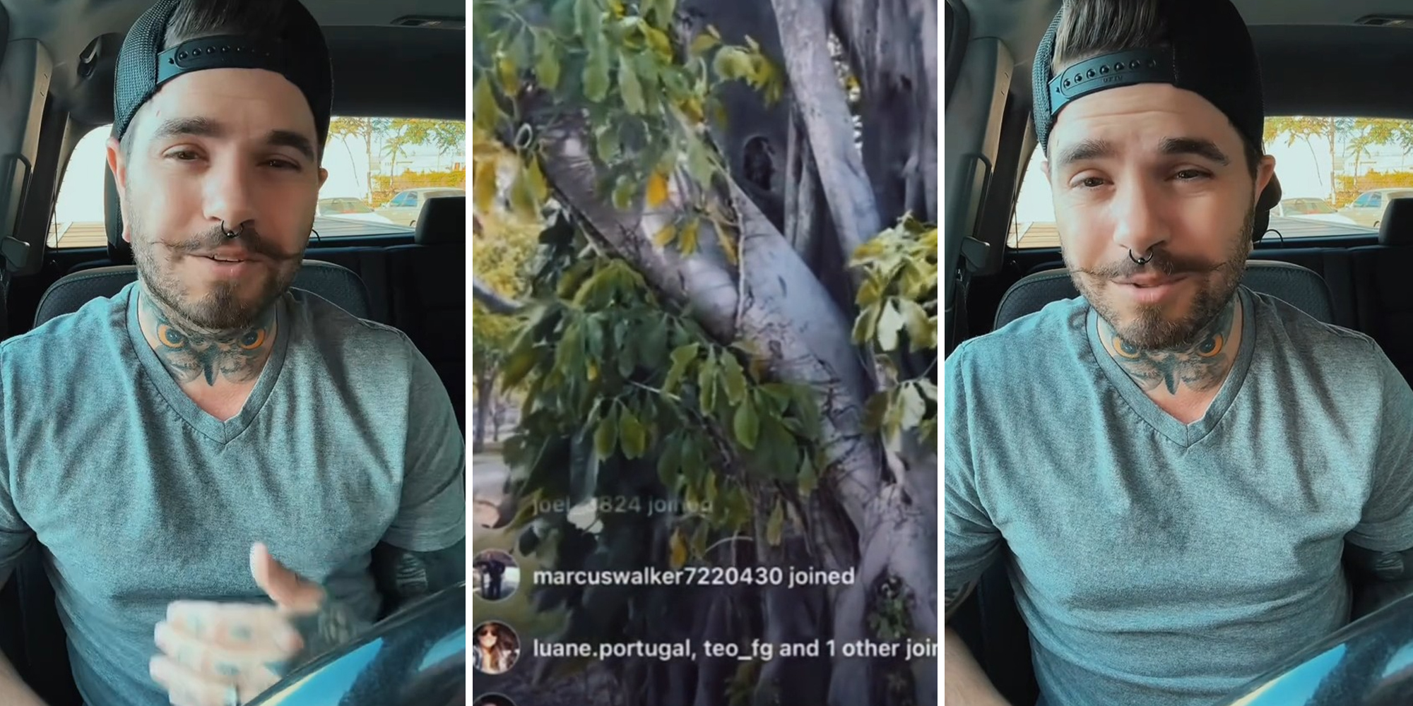 Did this live-streamer accidentally capture tiny tree people?