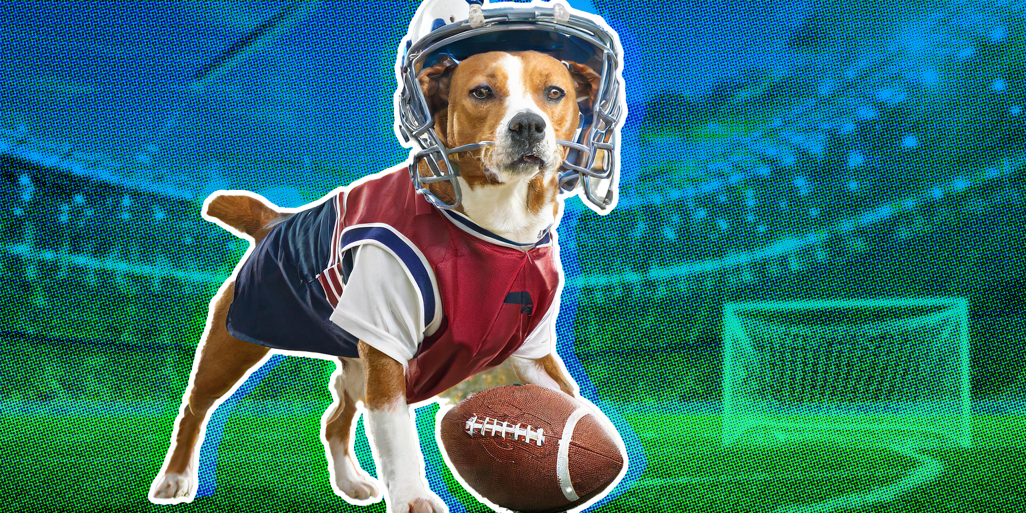 Dog playing football