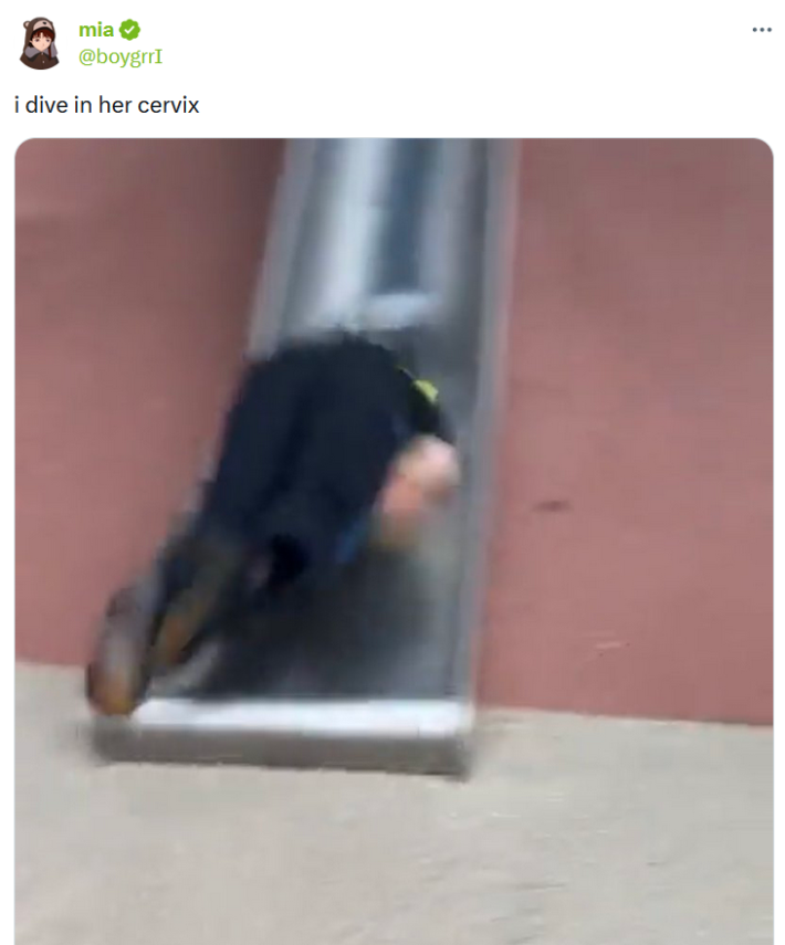 i dive in her cervix meme