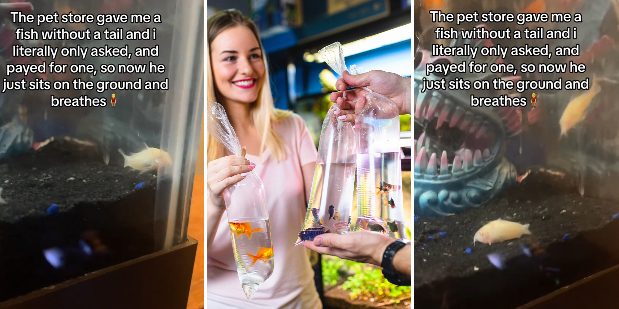 Man realizes he just bought a fish without a tail at the pet store
