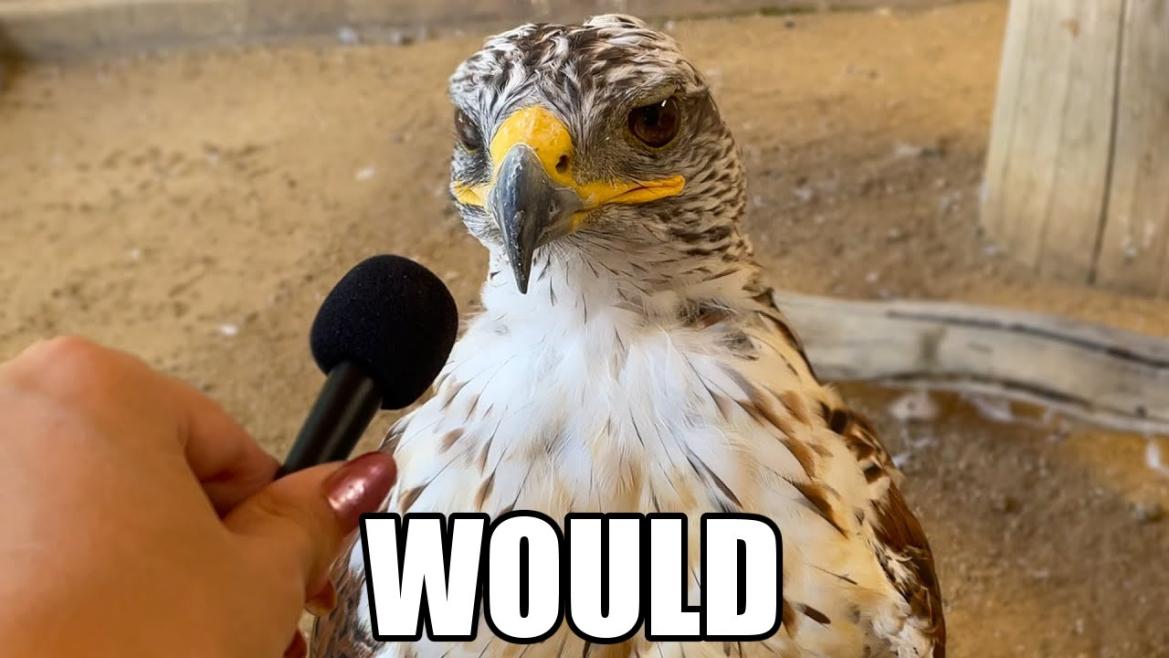 What Is The
