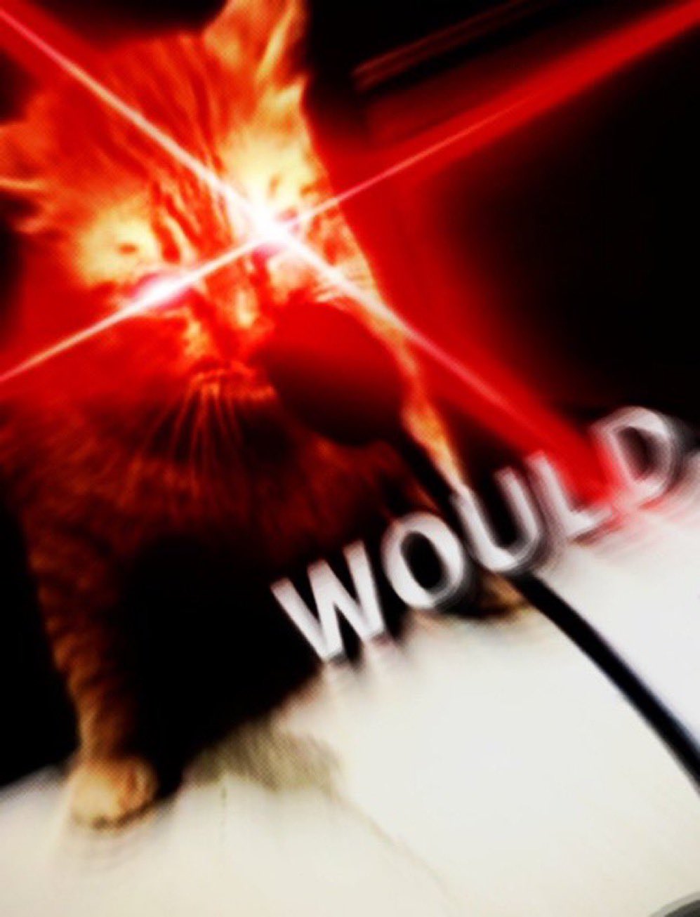 would-meme9.jpg