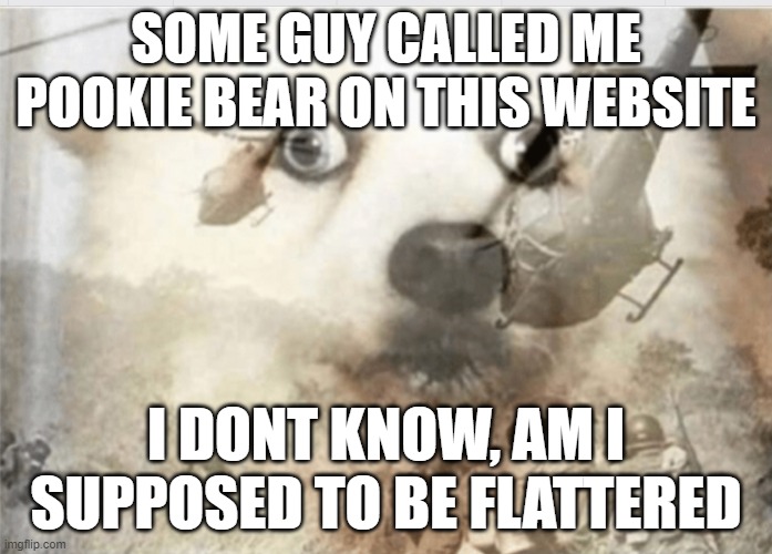 Dog has war flashbacks in meme captioned "Some guy called me pookie b ear on this wesite. I don't know, am I supposed to be flattered?"