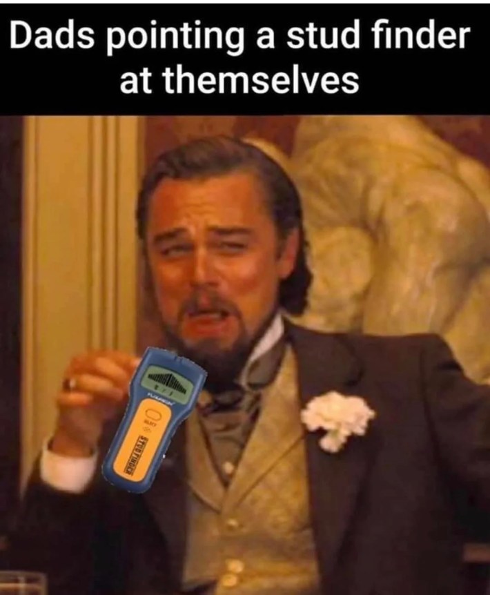 leonardo dicaprio django father's day meme