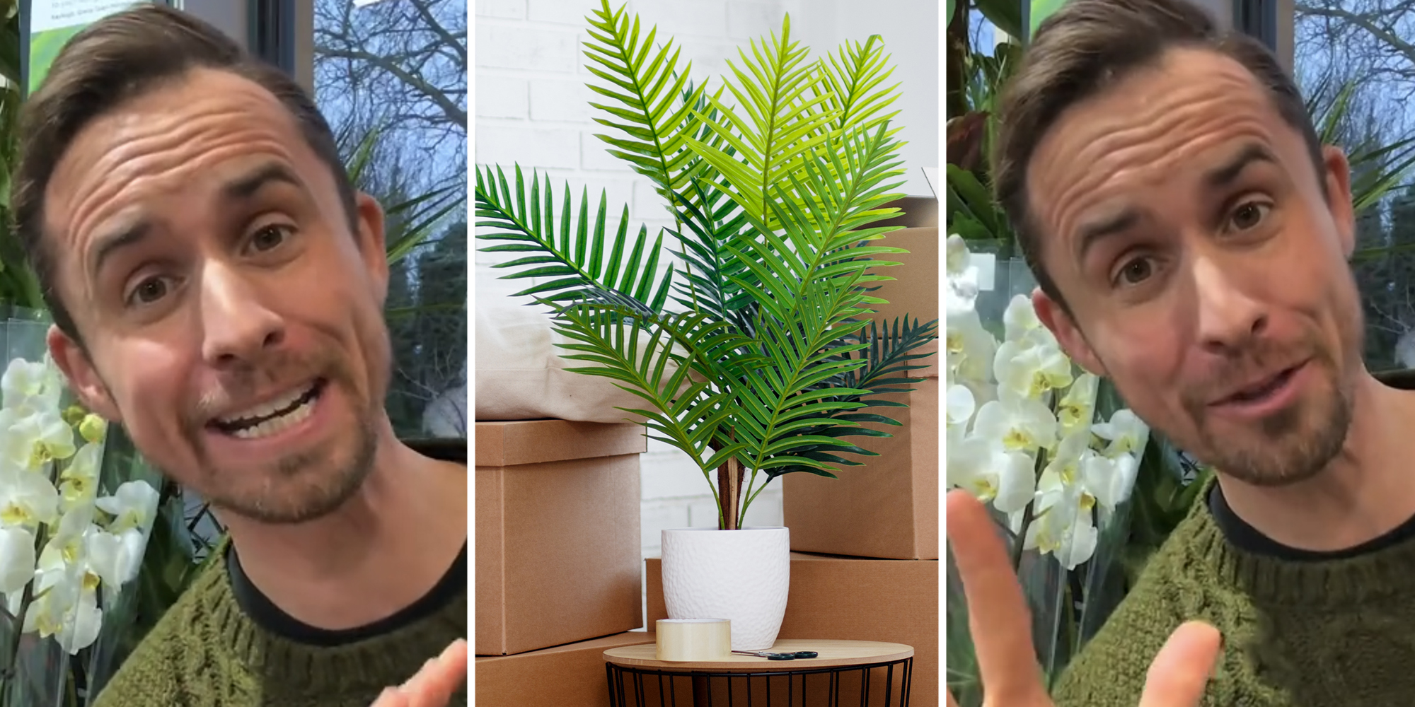 Man talking(l+r), Plant on table(c)