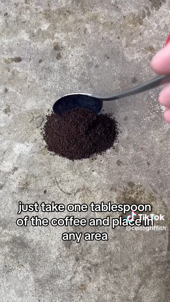 spoonful of coffee on ground with caption "just take one tablespoon of the coffee and place it in any area"