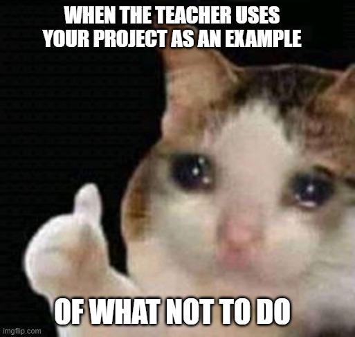 Thumbs up crying cat meme with a text overlay that reads, "When the teacher uses your project as an example of what not to do."