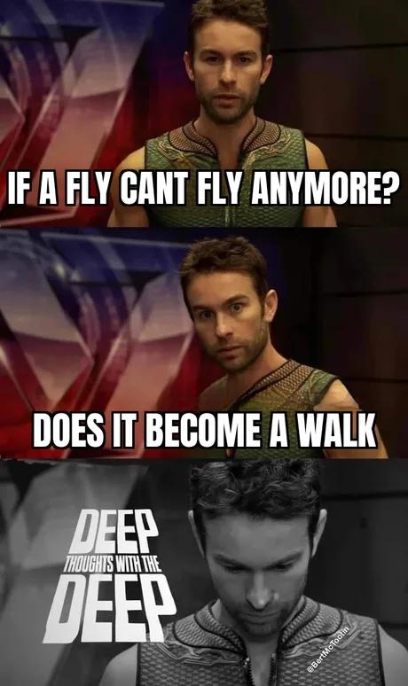 deep thoughts with the deep meme reading ""If a fly can't fly anymore does it become a walk?"