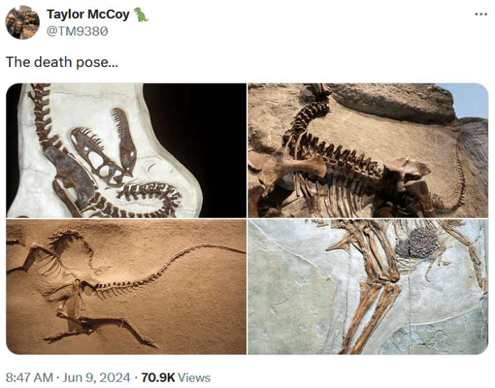 family guy death pose