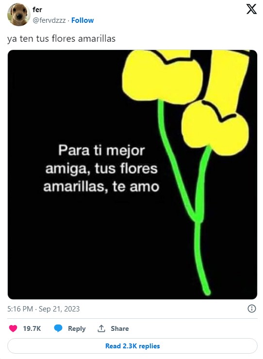 Microsoft paint drawn yellow flowers that look phallic with the caption "Para ti mejor amiga, tus flores amarillas, te amo."