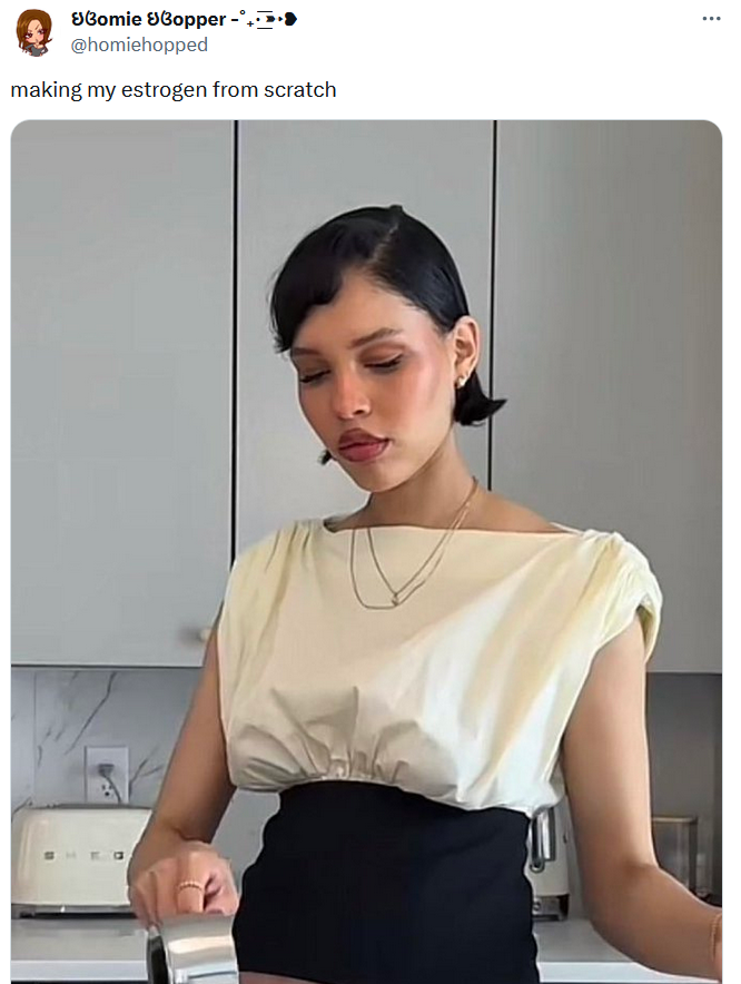 making x from scratch nara smith meme that reads "making my estrogen from scratch"