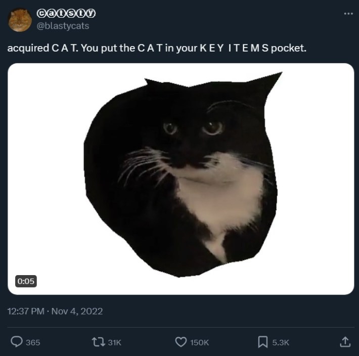 tweet featuring maxwell the cat, a black and white tuxedo cat, that reads, "acquired C A T. You put the C A T in your K E Y I T E M S pocket."