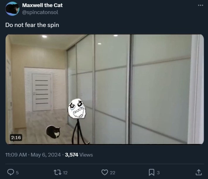 Maxwell the cat photoshopped with derp meme with caption "don't fear the spin"