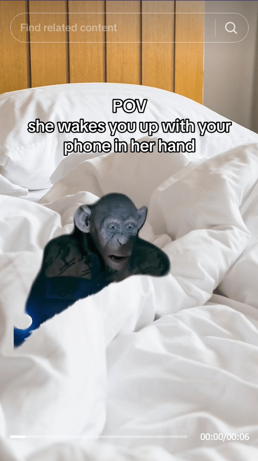 oh no monkey meme