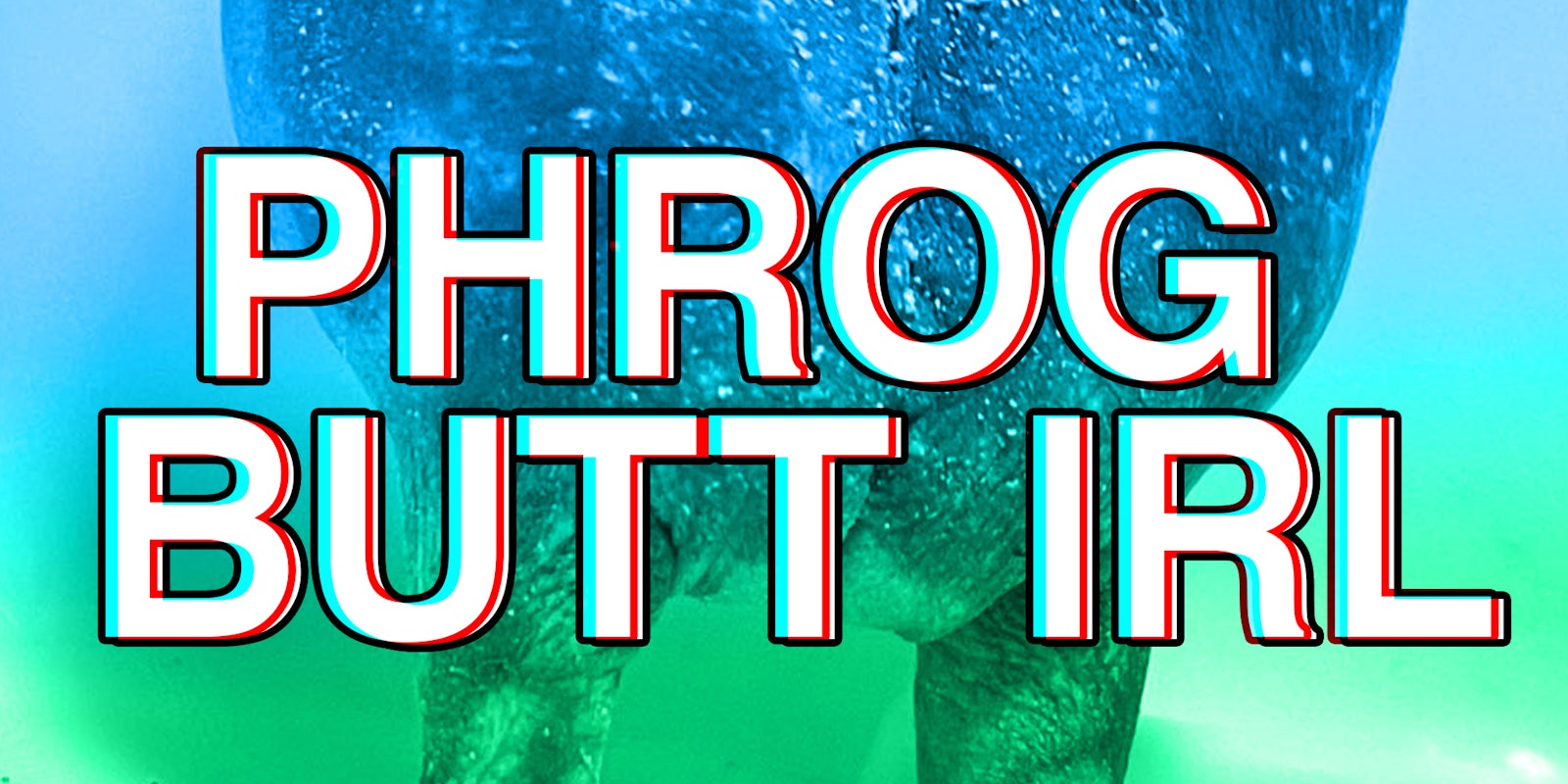 Frog butt background with text on top that says "phrog butt irl"