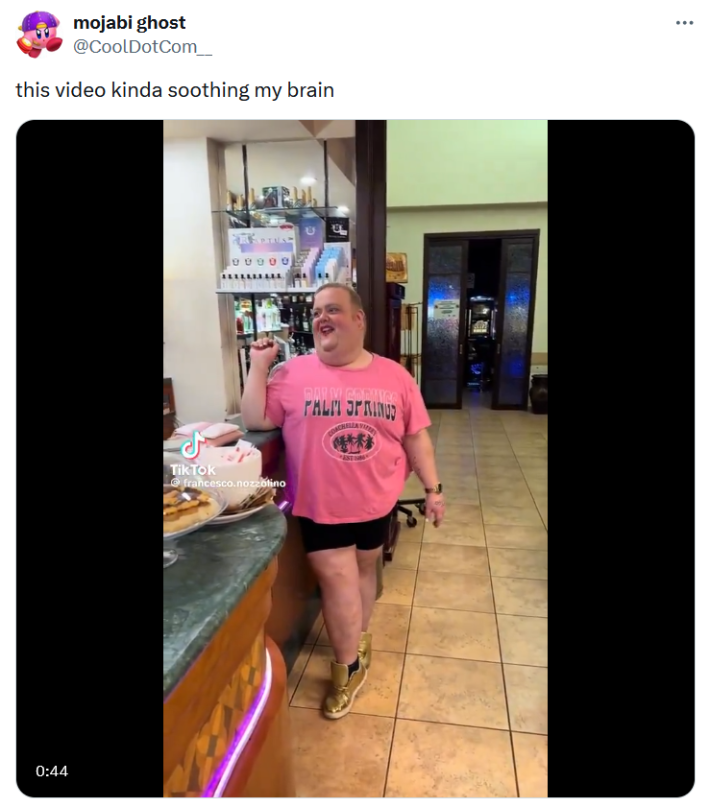 pink palm springs shirt diva alongside caption that reads: "this video kinda soothing my brain"