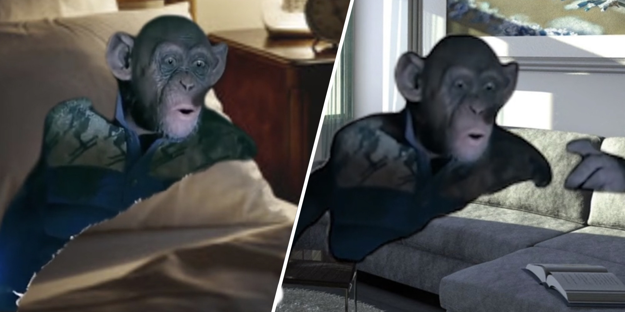 Planet of the apes oh no meme two split