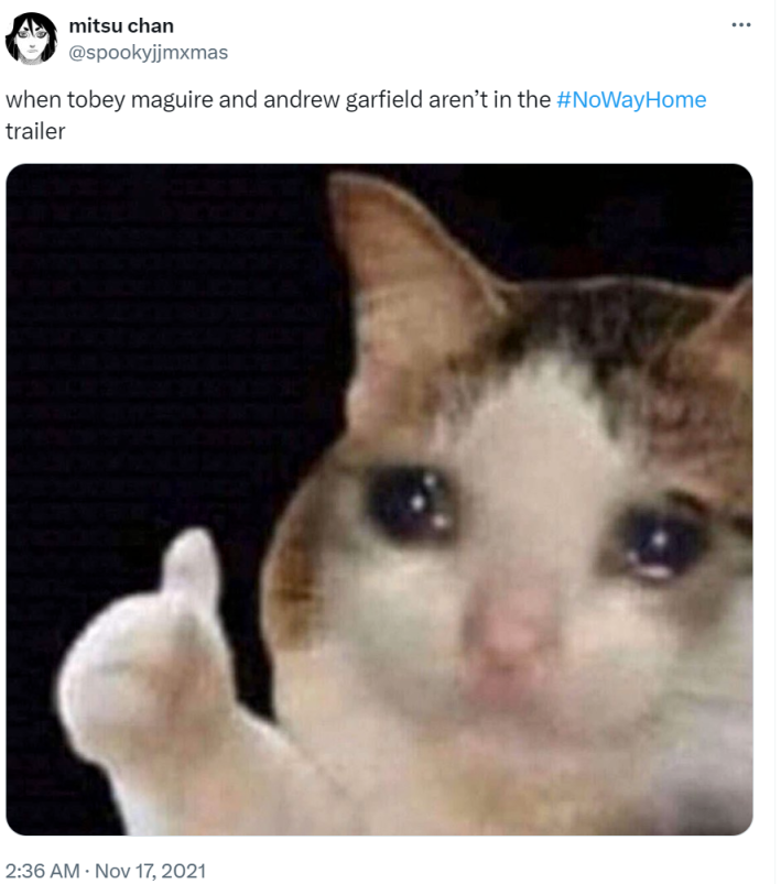 Thumbs up crying cat meme with text above it that reads, "when tobey macguire and andrew garfield aren't in the No Way Home trailer."