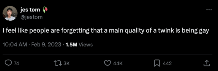 "I feel like people are forgetting that a main quality of a twink is being gay" tweet reply to viral twink death meme