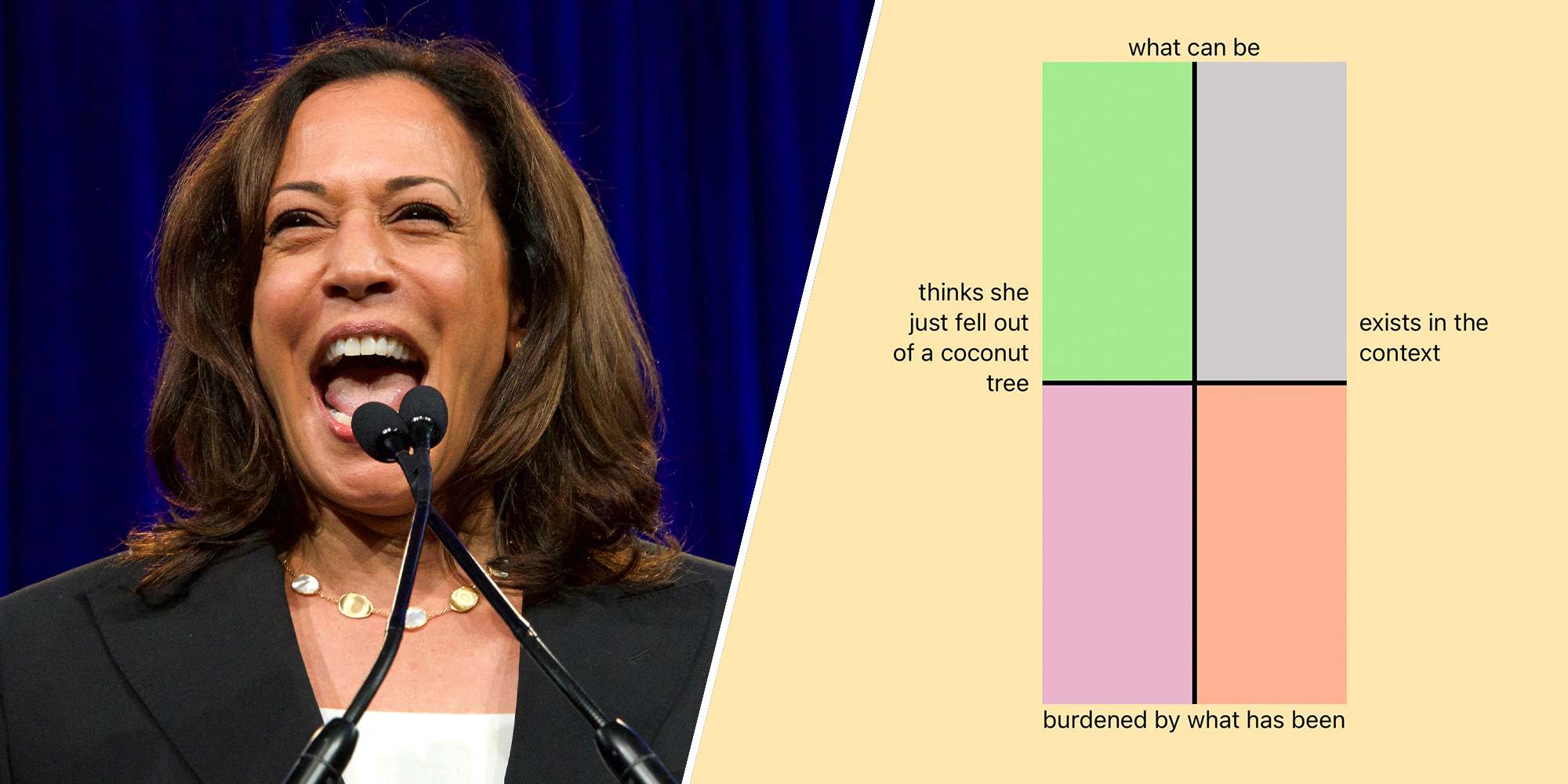 kamala harris X political compass