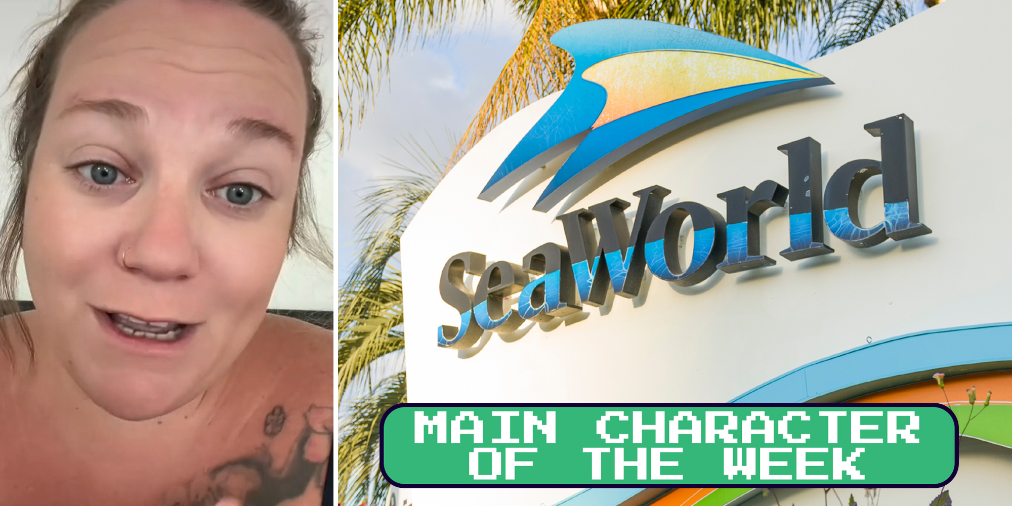 A person talking to the camera next to a SeaWorld sign. There is text in a Daily Dot newsletter web_crawlr font that says 'Main Character of the Week' in the bottom right corner.