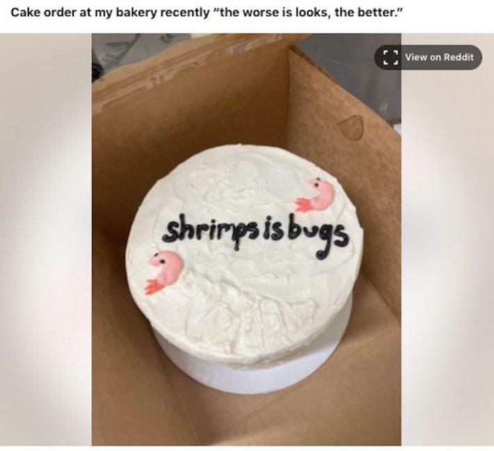 Shrimps is bugs written in frosting on a cake