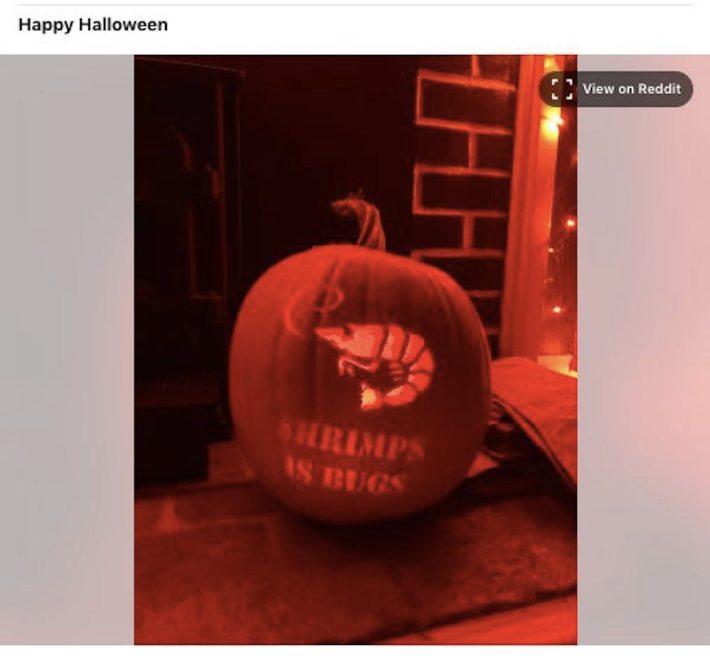 Shrimps is bugs jack-o-lantern