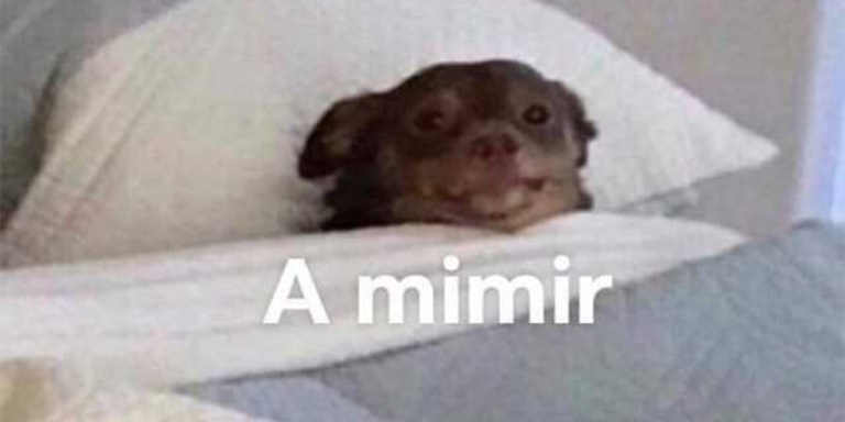 a-mimir-two-mimir-a-meme