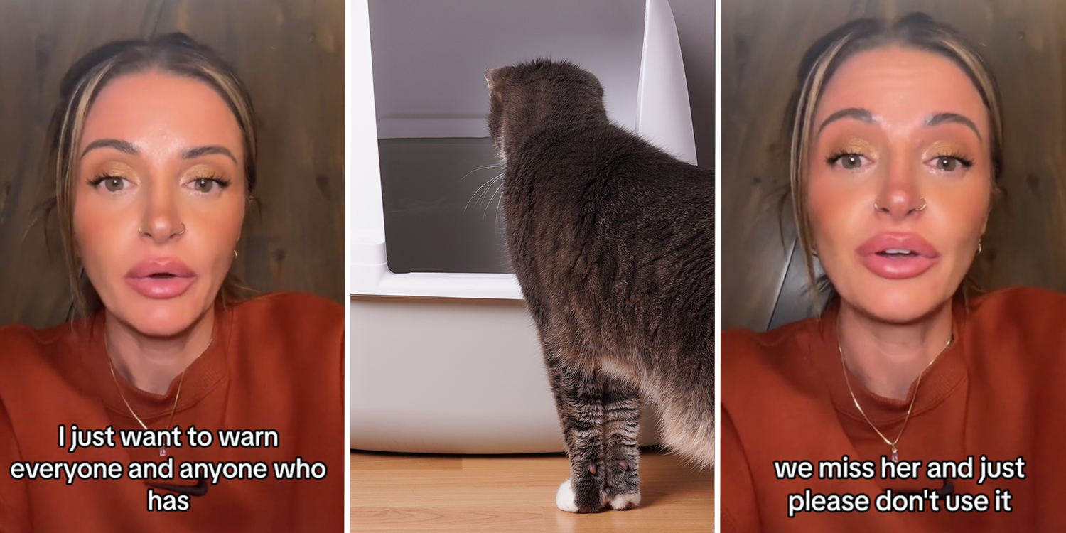 Litter box leads to tragic cat accident.