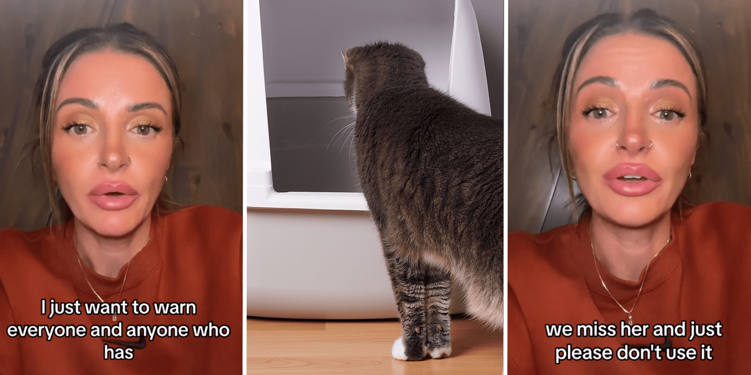 Litter box leads to tragic cat accident.