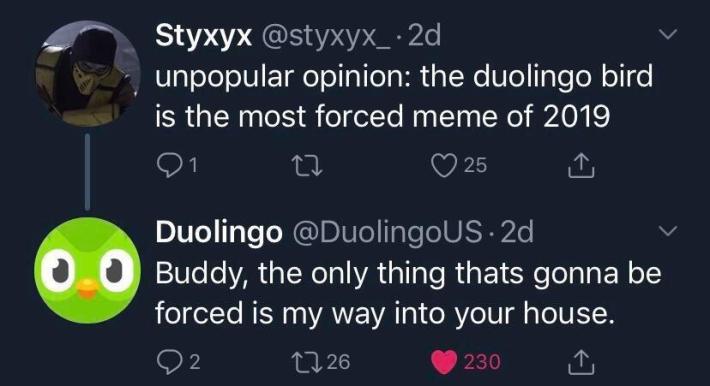x user tweets "Styxyx @styxyx_2dunpopular opinion: the duolingo bird is the most forced meme of 2019," to which duolingo replies, "Buddy, the only thing thats gonna be forced is my way into your house"