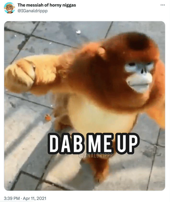 Screenshot of a golden snub-nosed monkey facing right with its hand raised. Text overlay reads, "DAB ME UP"