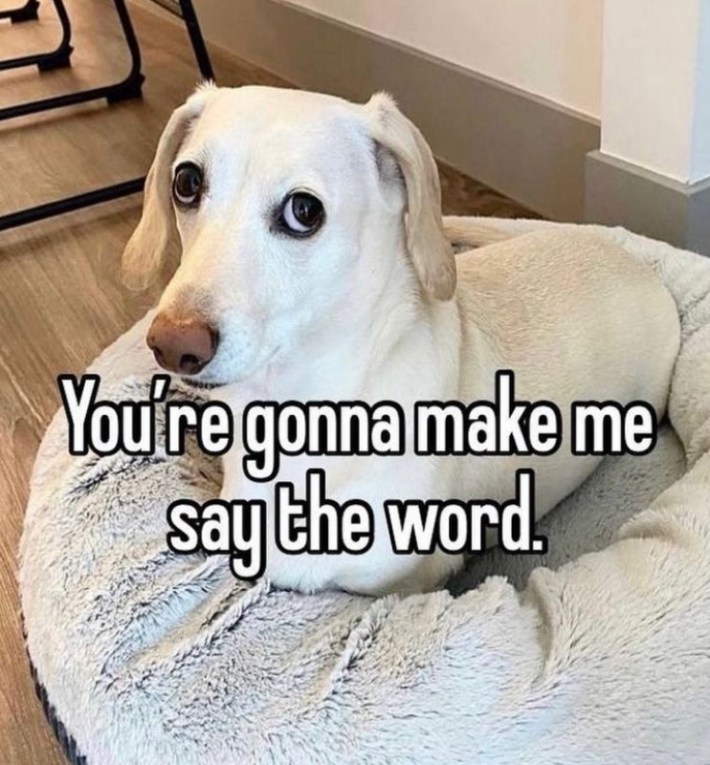 whitney chewston with caption "you're gonna make me say the word"