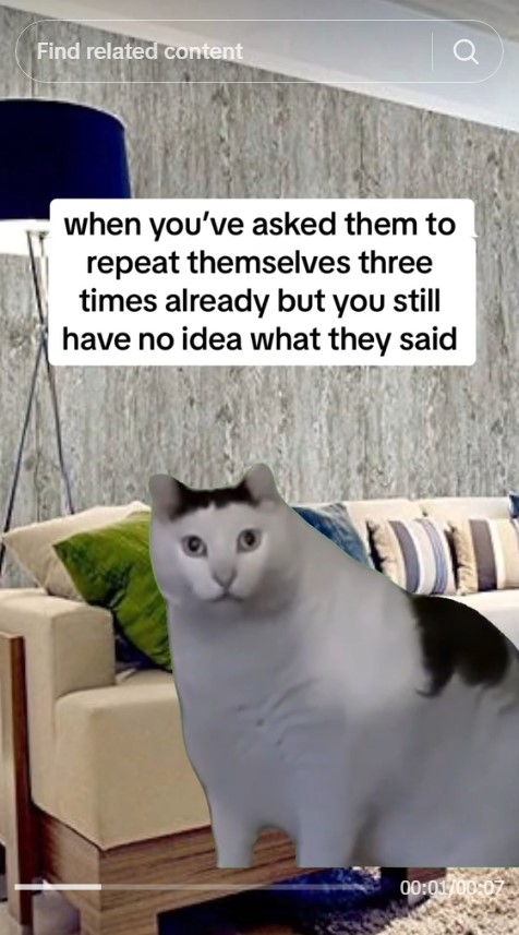 huh cat with caption "when you've asked them to repeat themselves three times already but you still have no idea what they said"