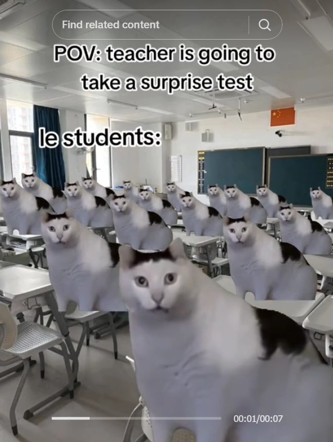 classroom full of huh cats with caption "POV: teacher is going to take a surprise test"