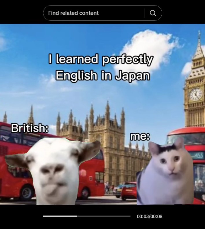 huh cat with yapping cow in meme "i learned perfecetly English in Japan"