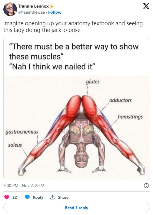 textbook muscle chart with tweet reading "imagine opening up your anatomy textbook and seeing this lady doing the jack-o pose"