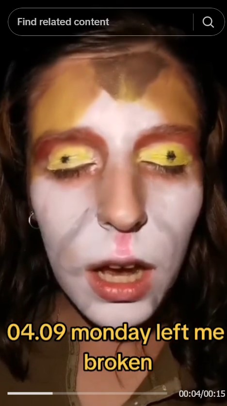 human with cat meme makeup